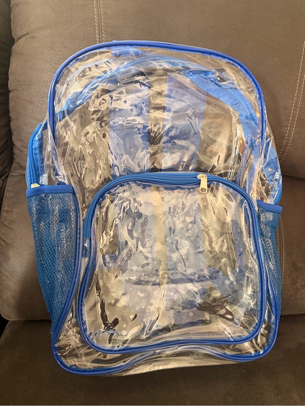 Clear Blue-Trim Backpack - Transparent School & Travel Bag